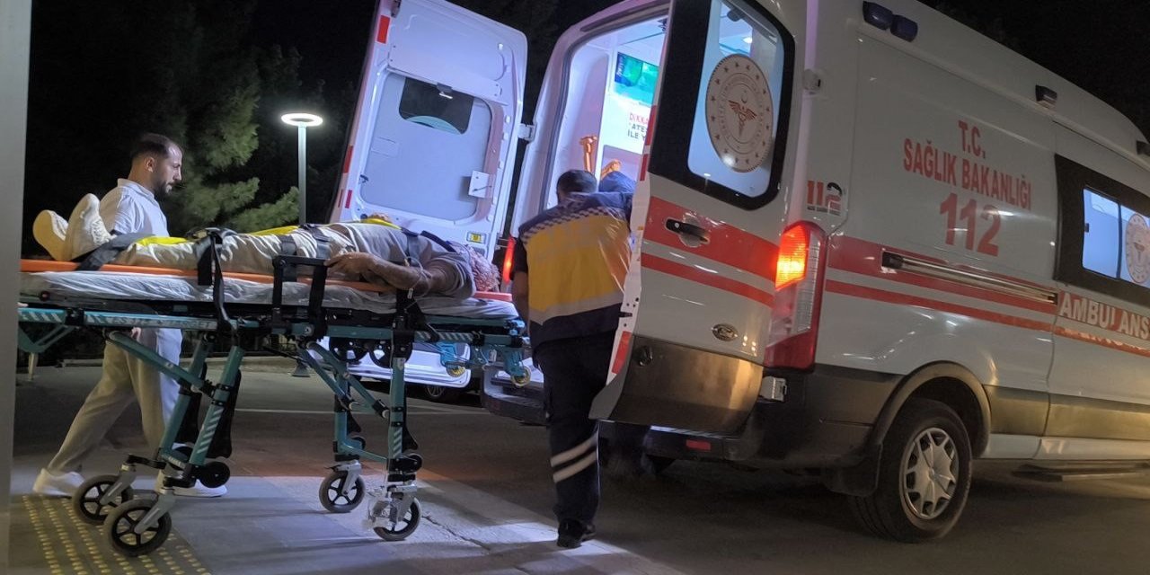 Ağaçtan Düşen Adam Hastanelik Oldu