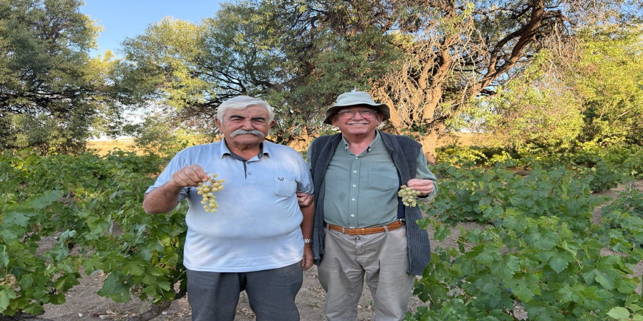 Bu Toprakların Sırrı: O Üzümlerle Dünya Lezzeti