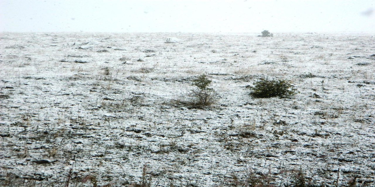 Eylül Karı Posof'u Beyaza Büründürdü