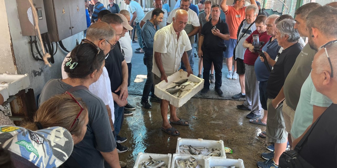 Gece avlanan balıklar, sabah mezatta alıcıyla buluşuyor