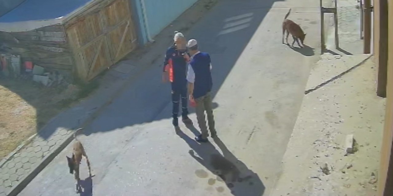 Eskişehir'de yaşlı adamı darbeden şahıs gözaltına alındı