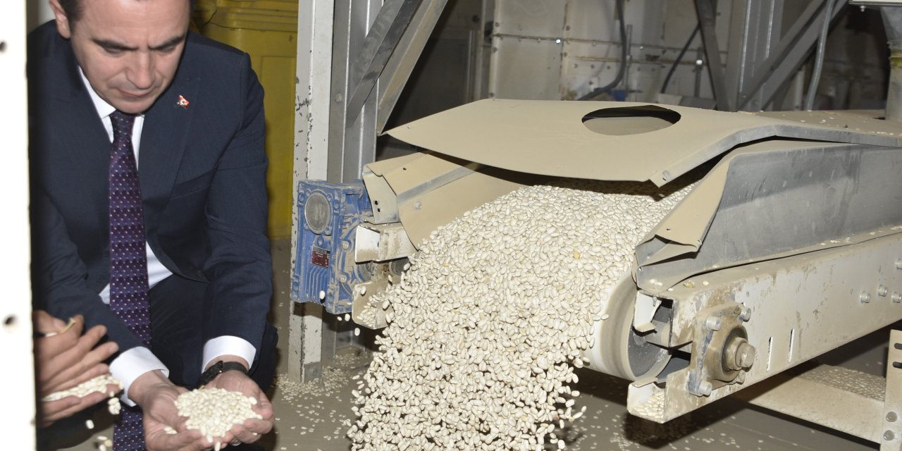 Bitlis'te kuru fasulye hasadında rekor: 37 bin ton üretim