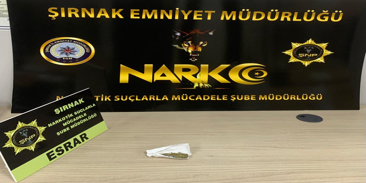 Şırnak’ta narkotik ve kaçakçılık operasyonu: 2 tutuklu