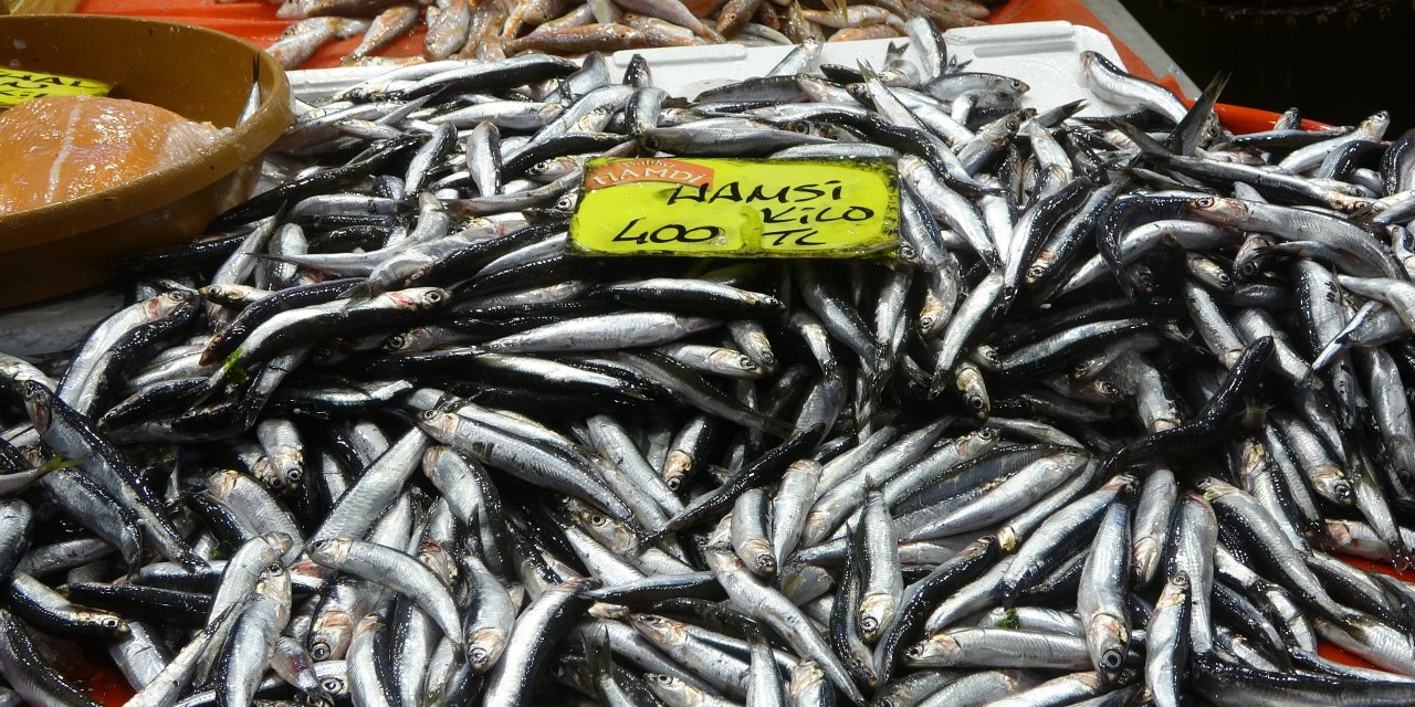 Balık Fiyatları düştü, ekimde bolluk bekleniyor