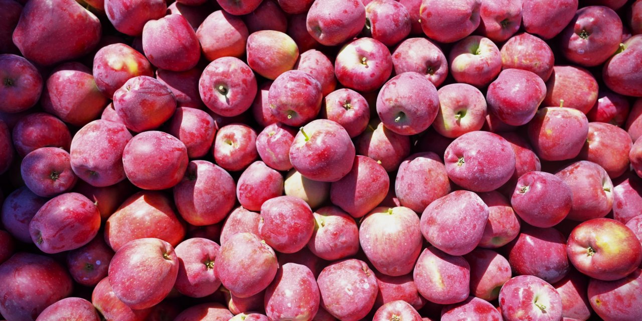 Ege'nin elma deposu Denizli'de üreticinin yüzü gülüyor