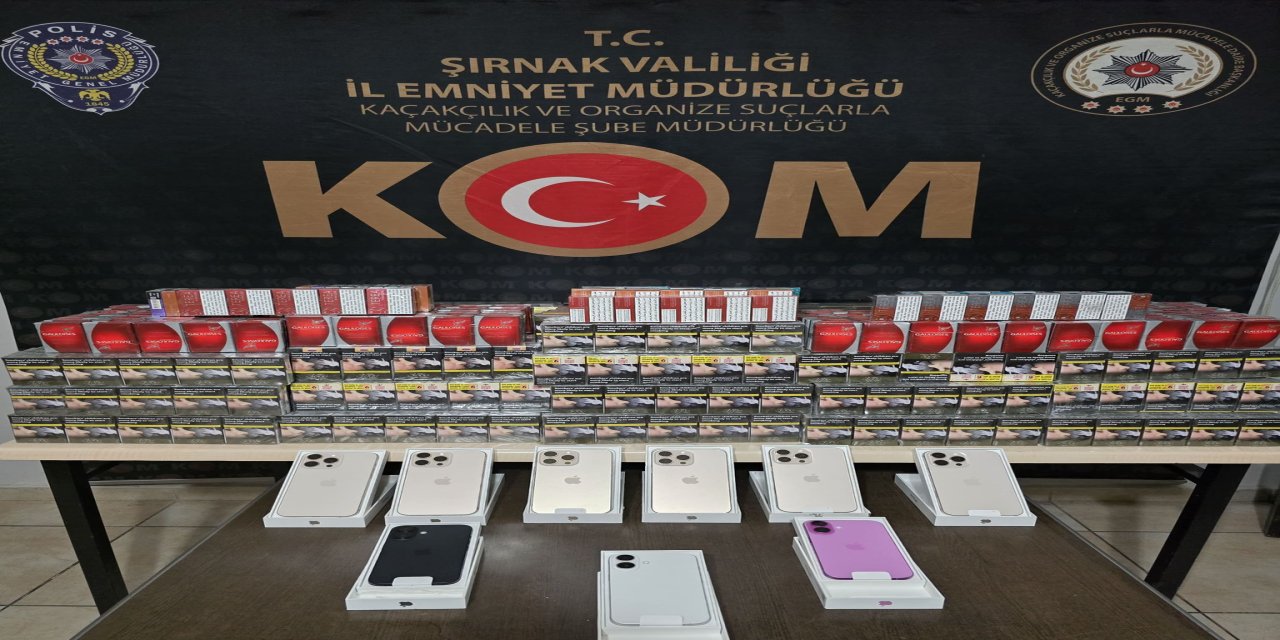 Şırnak’ta kaçakçılık operasyonu : 1 gözaltı