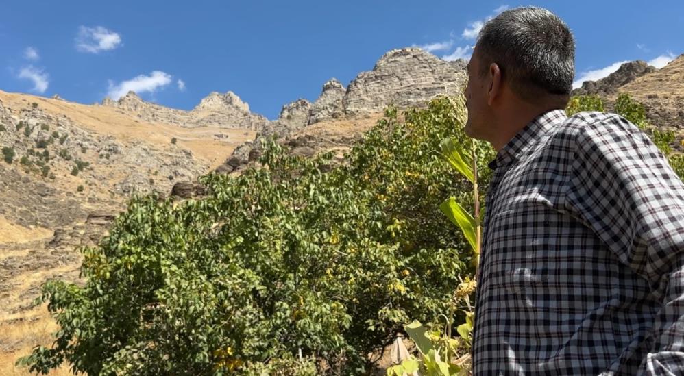 Hakkari'nin 'Dağ Keçileri Kalesi' dikkat çekiyor