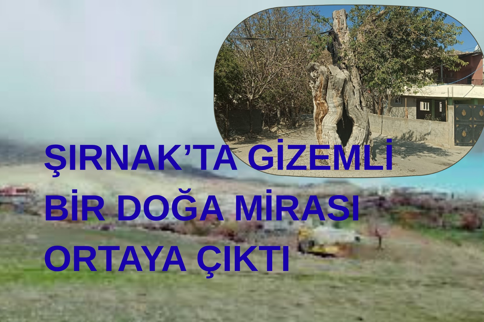 Şırnak’ta Gizemli Bir Doğa Mirası Ortaya Çıktı