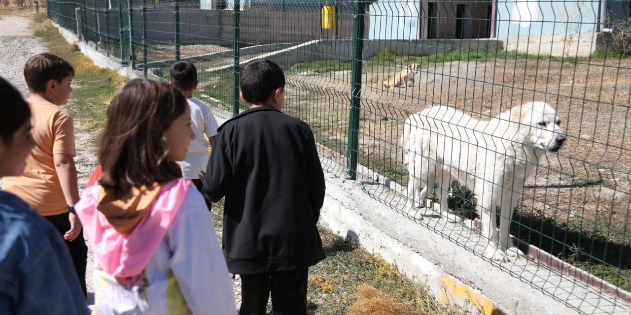 Minik öğrenciler patili dostlarını ziyaret etti