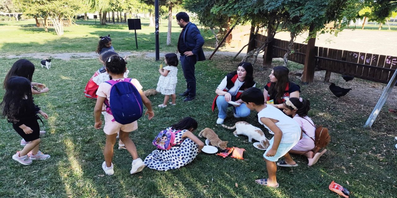 İdil’de Çocuklardan Sokak Hayvanlarına Mama Desteği