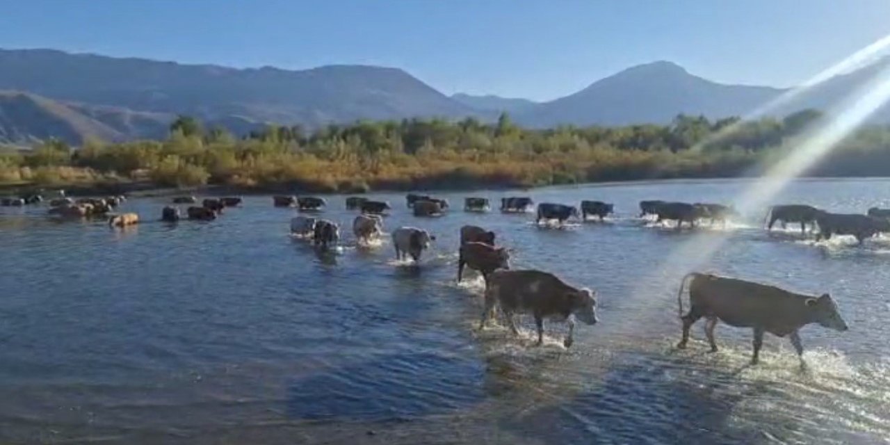 Doğu Anadolu'da Kuraklık Tehdidi: Karasu Nehri'nde Seviye Dipte