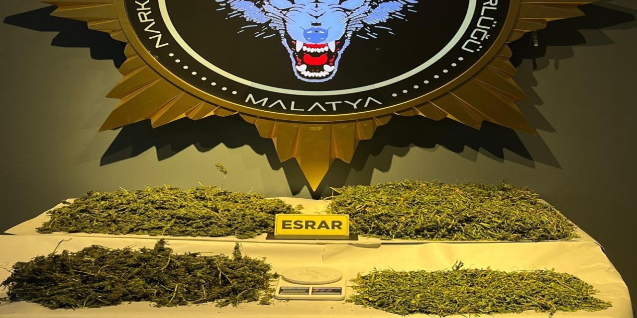 Malatya'da uyuşturucu operasyonu: 1 gözaltı