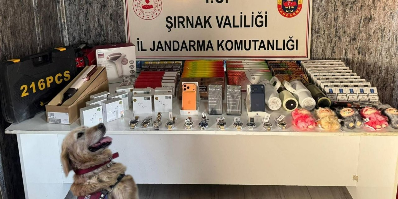 Jandarma’dan kaçakçılık operasyonu: 98 şüpheli hakkında yasal işlem yapıldı