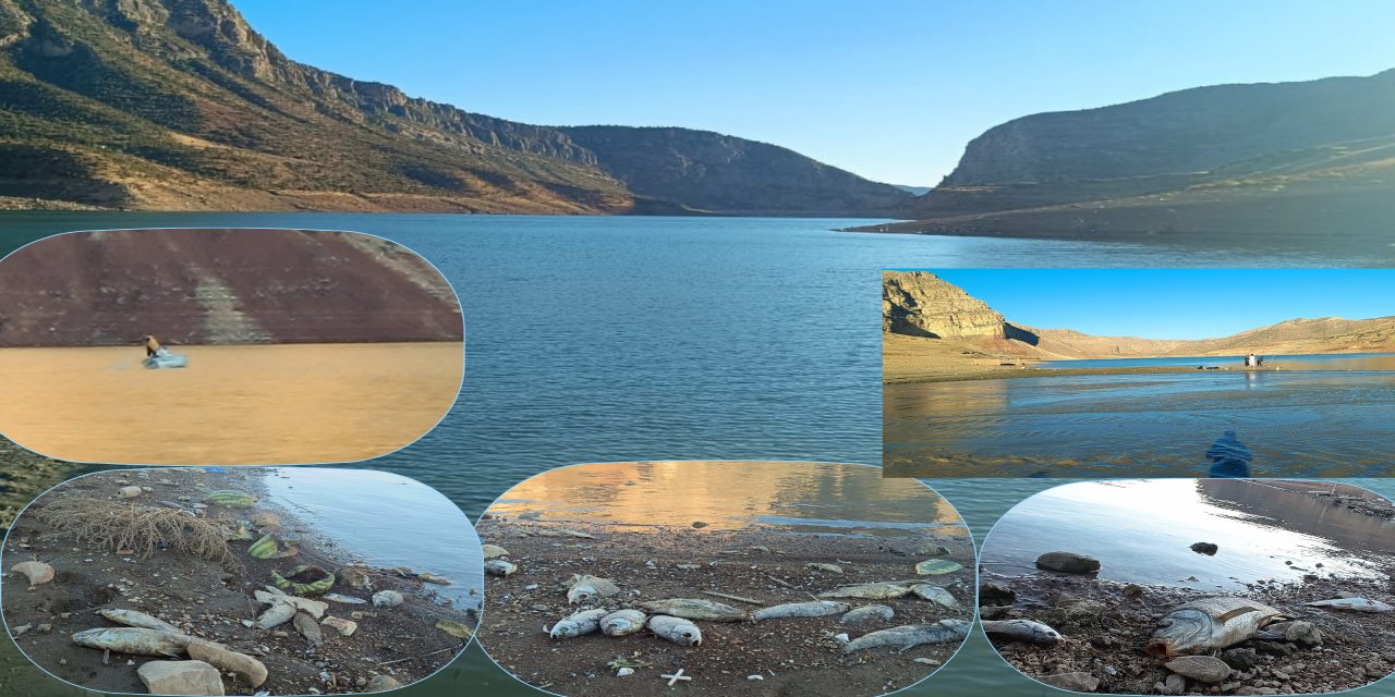 Şırnak, Batman ve Siirt ilini kapsayan Ilısu Barajı’nda Neler Oluyor?