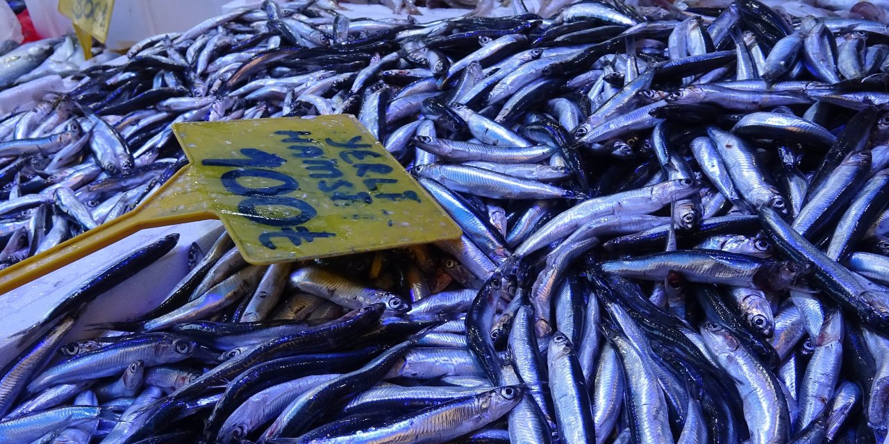 Hamsini kilosu 300 TL’den 100 TL’ye düştü: Kapış kapış gitti