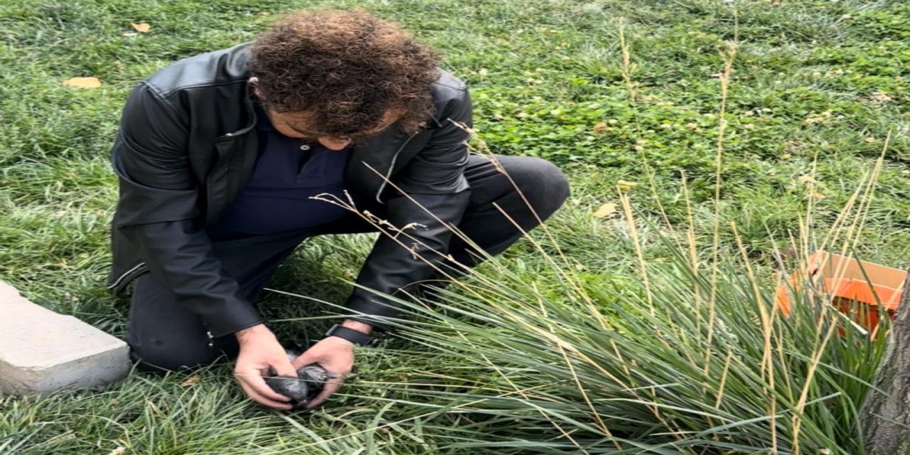 Öğretmenin fark ettiği yaralı güvercin kurtarıldı