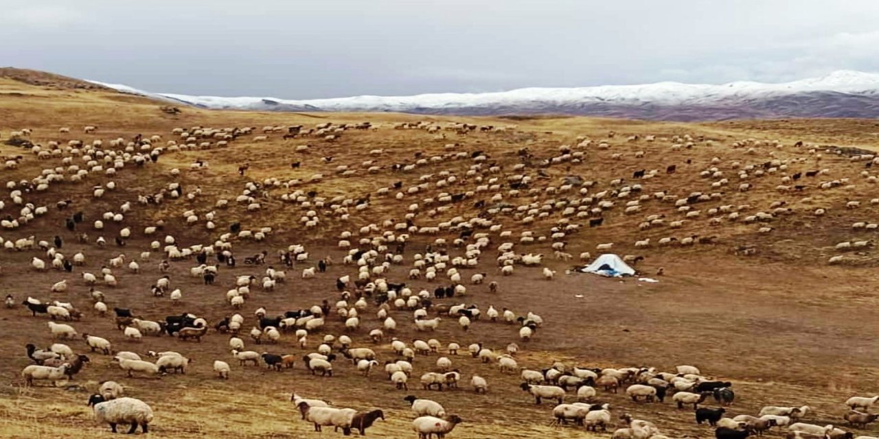 Şırnak'ta Hava Bir Anda Değişti: 3 Bin Rakımlı Yaylalara Kar Erken Geldi
