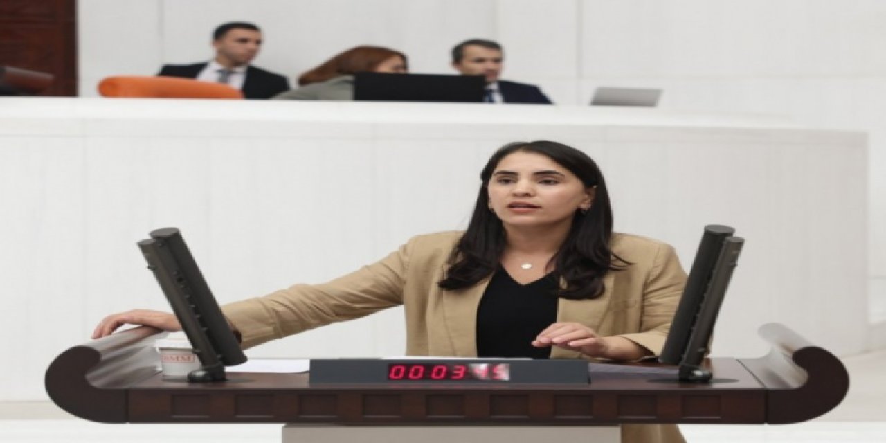 “Ortadoğu’ya Açılan Kapı: Cizre-Silopi Stratejik Serbest Bölge Olmalı!”