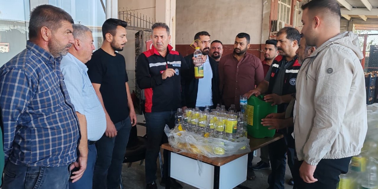 Akdeniz meyve sineği ile mücadele sürüyor