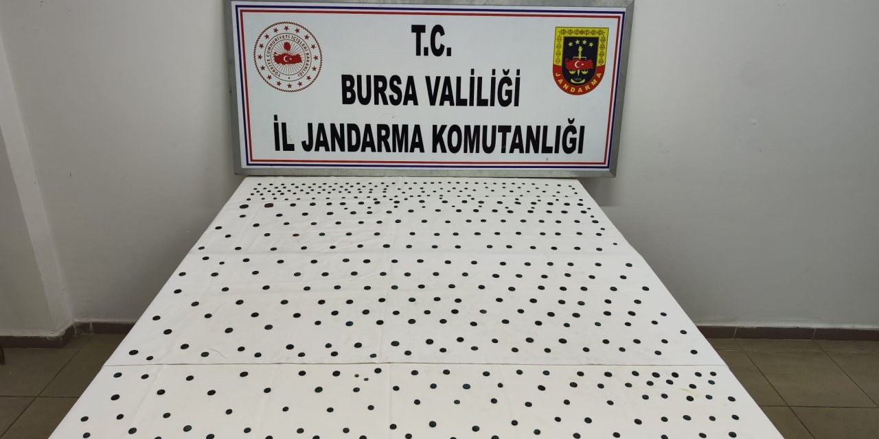 Jandarma'dan İznik'te tarihi operasyon