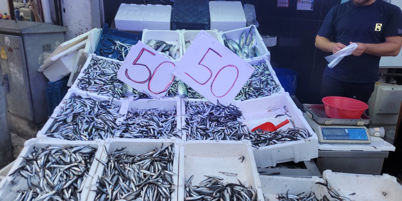 Karadeniz hamsisi tezgahları doldurdu: Kilosu 50 lira