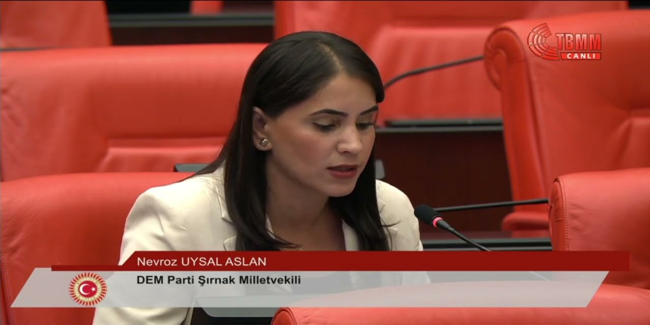 DEM Partili Nevroz Uysal Aslan’dan Şırnak Üniversitesi’ndeki usulsüzlük iddialarına soru önergesi