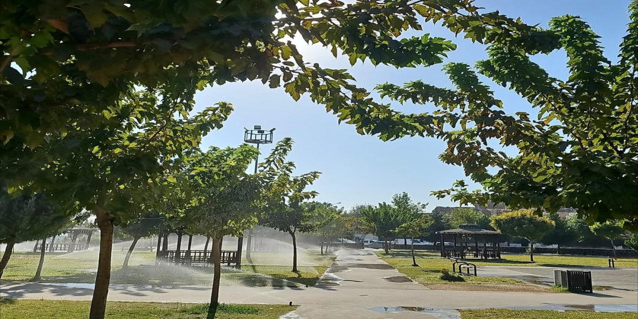 Cizre Belediyesi’nden Yeşil Alanlara Bakım ve Yenileme Çalışması