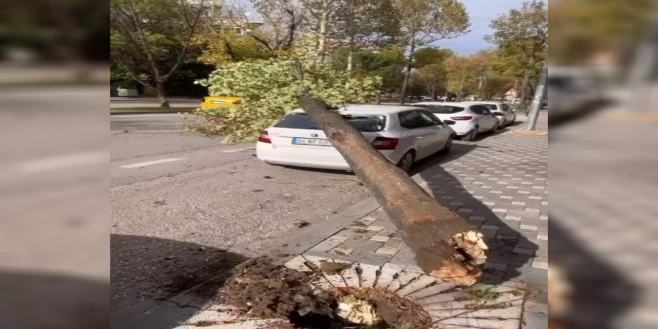 Bursa'da Lodostan Kaçış Yok! Araçlar Tuğla ve Ağaç Altında Kaldı