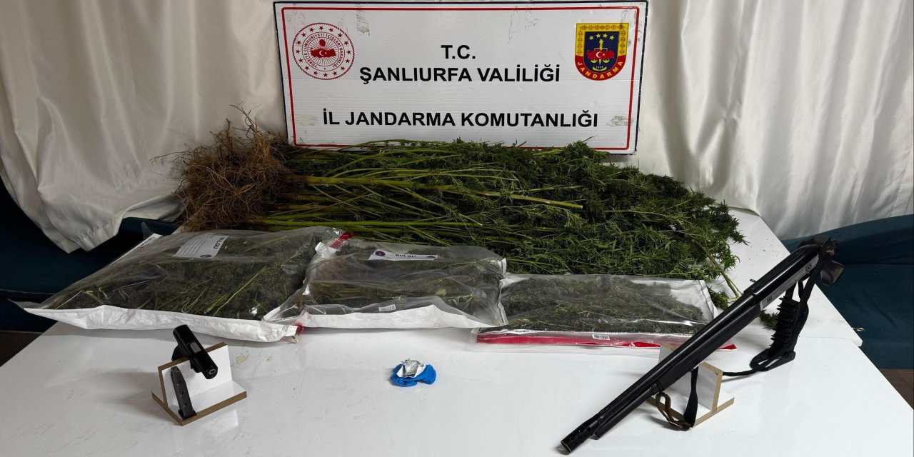 Siverek'te Uyuşturucu Darbesi: 3 Kilo 600 Gram Esrar ve Silahlar Ele Geçirildi