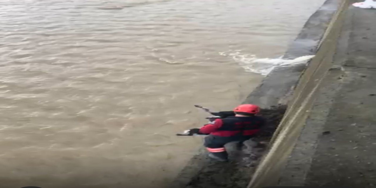 Derede mahsur kalan köpeği itfaiye ekibi kurtardı