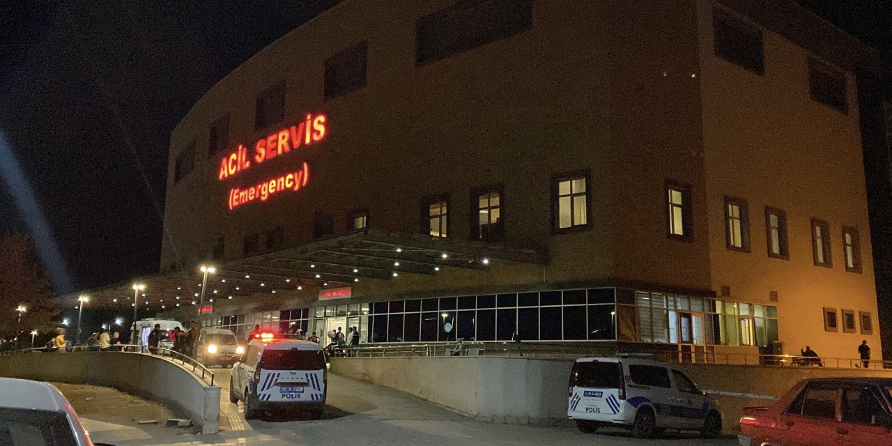 ‘Hayvan otlatma’ kavgası kanlı bitti: Komşusunu öldürüp intihar etti