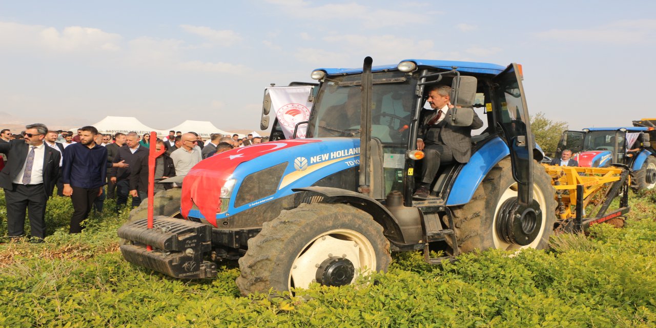 Şırnak'ta Yer Fıstığı Hasat Şenliği renkli görüntülere sahne oldu