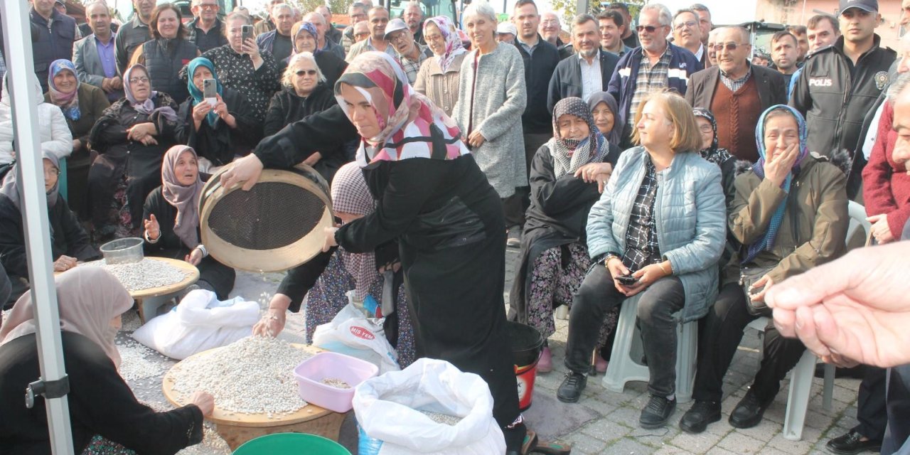 Coğrafi işaretli Kazak fasulyesinde ilk hasat festivali yapıldı