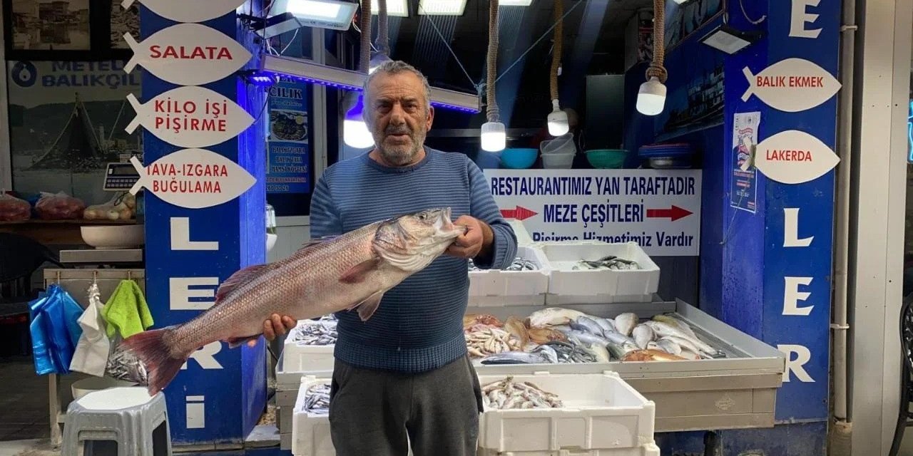 Oltayla yakalanan deniz levreği 9 bin liraya satıldı