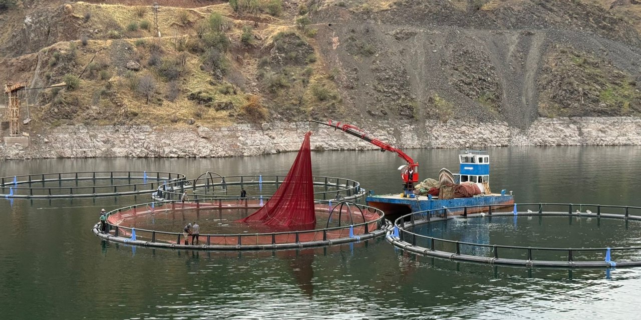 Diyarbakır'dan dünyaya "Mezopotamya somonu" gönderilecek