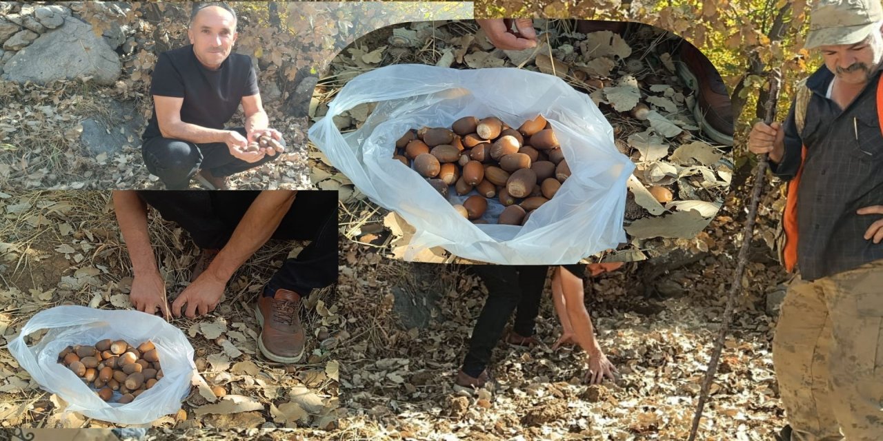 Şırnaklılar bu kış meyvesiyle sağlıklı kalıyor