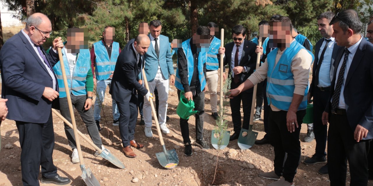 Cizre’de Denetimli Serbestlik Yükümlüleri, Milli Ağaçlandırma Günü’nde fidan dikti