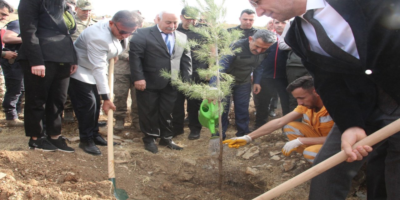 Şırnak’ta “Adliye Hatıra Ormanı” kuruldu