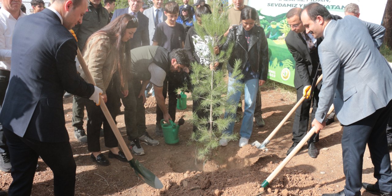 Milli Ağaçlandırma Günü’nde Cizre’de fidanlar toprakla buluştu