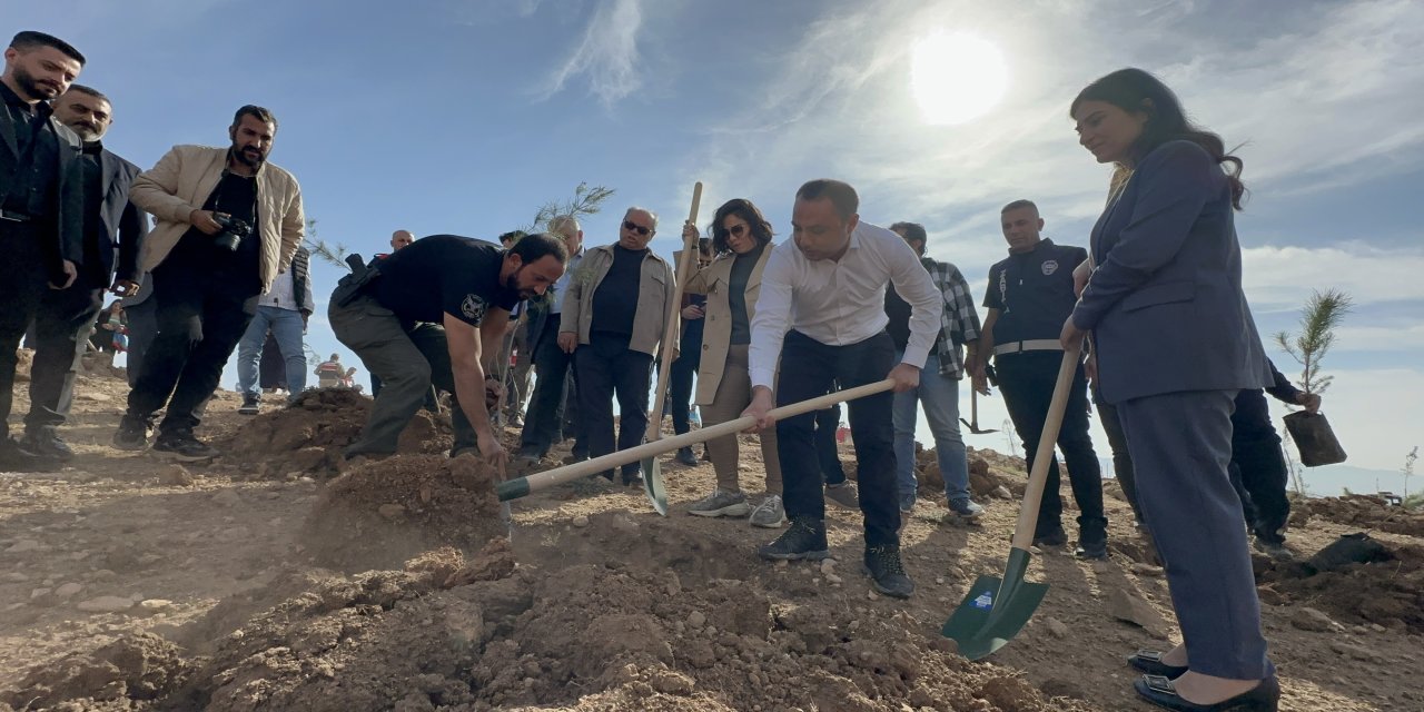 Silopi’ye Nefes Olacak Proje Başladı: 15 Bin Fidan Toprakla Buluşacak!