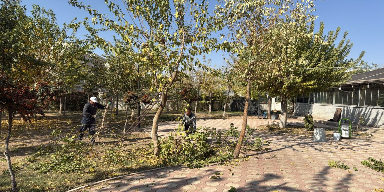 Silopi Belediyesi Yeşil Alanlarda Bakım ve Sulama Çalışmalarını Aralıksız Sürdürüyor!