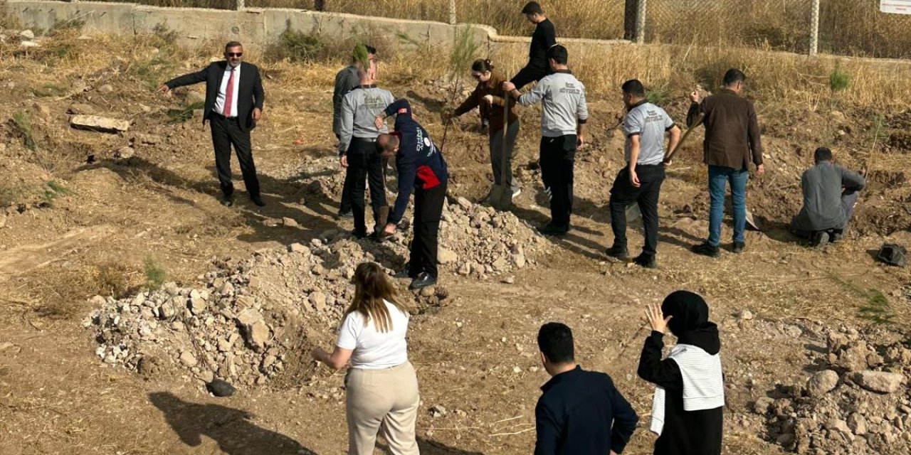 Şırnak Havalimanında 500 Ağaç toprakla buluştu