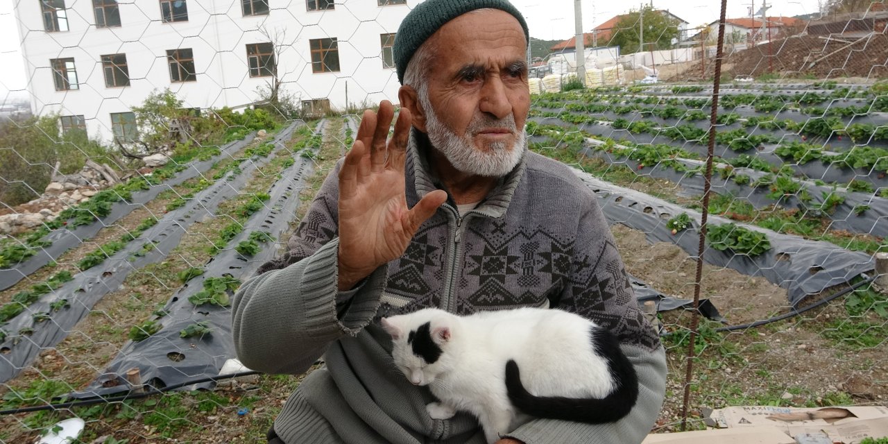 Isparta'da 'Hayır Bahçesi' Fenomeni: 30 Yıldır Nimetler Ücretsiz!