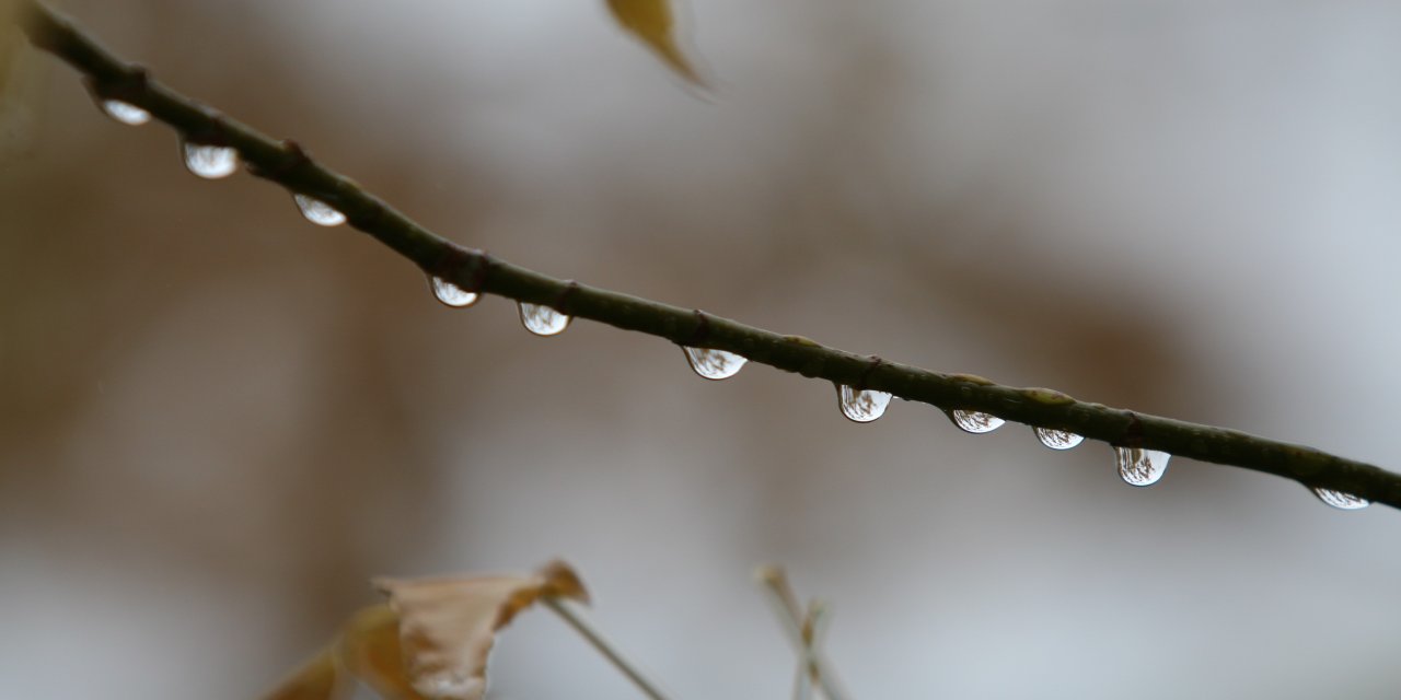 Balıkesir'de Yağış Miktarı Geçen Yıla Göre Tam 100 Kat Arttı!