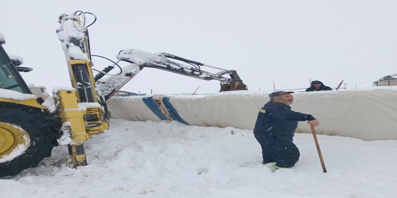 Karın ağırlığına dayanamayan çadır çöktü, 8 koyun telef oldu