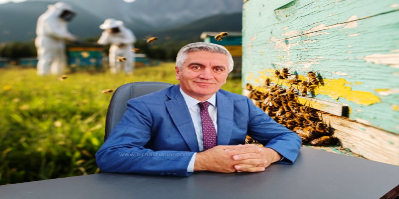 Şırnak’ta Arıcılık Ekonomiye Katkı Sağlıyor: Yıllık 700 Ton Bal Üretiliyor