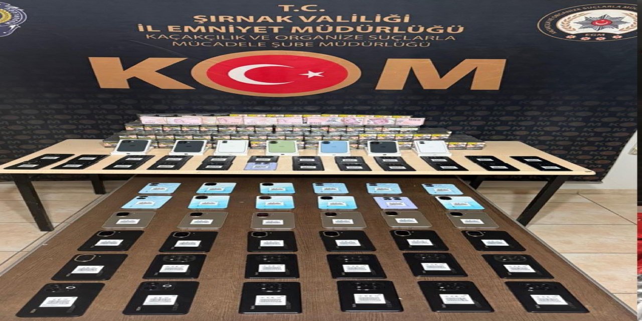 Şırnak’ta kaçakçılık darbesi: 2 milyon TL’lik kaçak ürün ele geçirildi