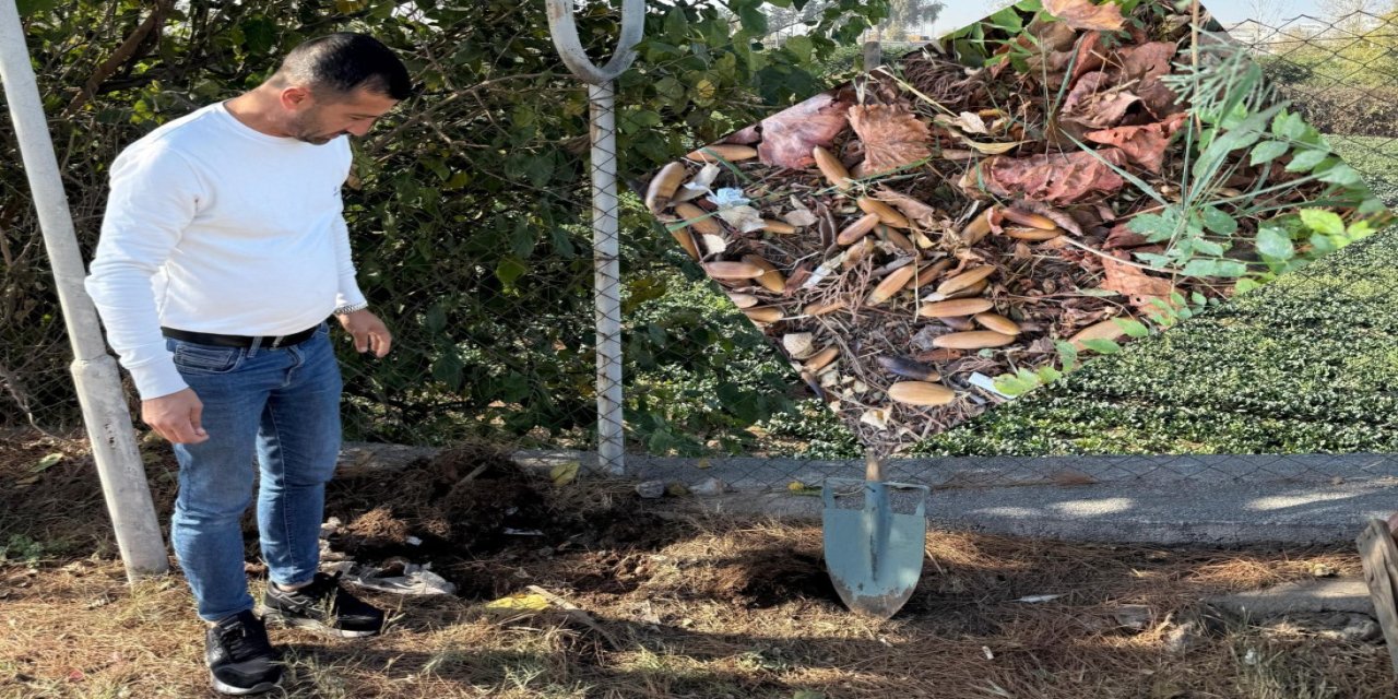 Şırnak ÇGC Başkanı Mir, Mersin’de 100 Palamut Fidanı Dikti