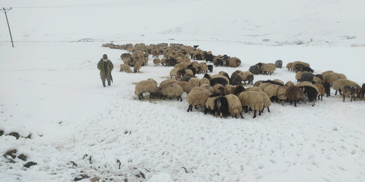 Kar yağdı, koyun sürüsü yaylada kaldı