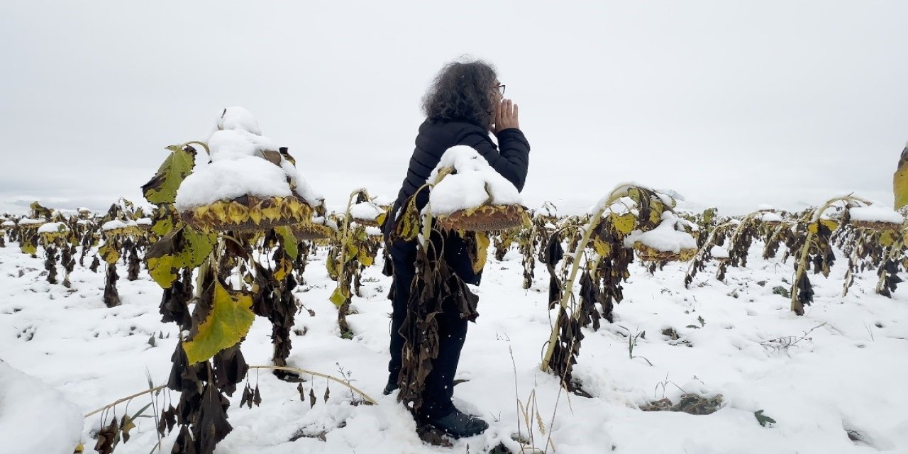 Prof. Dr. Mehmet Kavukcu'dan Karlı Tarlada "Ego" Performansı!